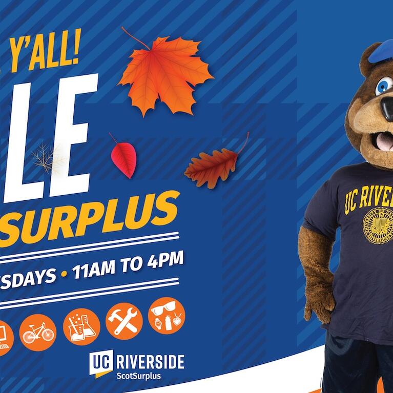 ScotSurplus Fall sales.