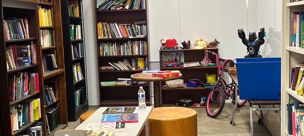 bookshelves filled with books